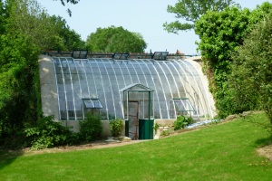 Restauration serre de jardin Ille et Vilaine